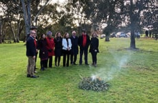 Vic commissioners