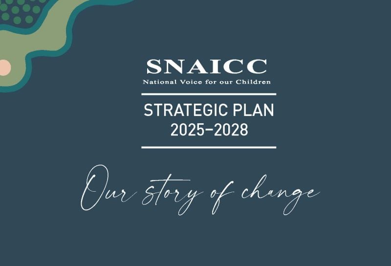 Strategic Plan 2025–2028